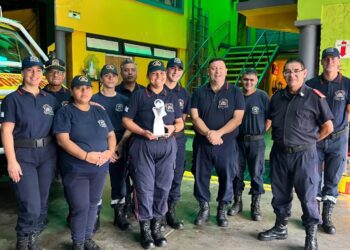 Reconocimiento «La Delfina»