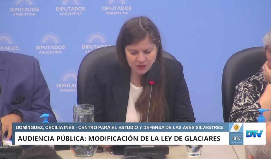 Audiencia por Glaciares: Desde CEYDAS se manifestaron en contra de la modificación de la ley que protege a los glaciares