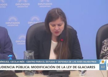 Audiencia por Glaciares: Desde CEYDAS se manifestaron en contra de la modificación de la ley que protege a los glaciares