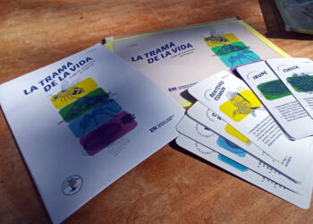 El CGE entregó materiales lúdicos sobre ambiente en escuelas entrerrianas