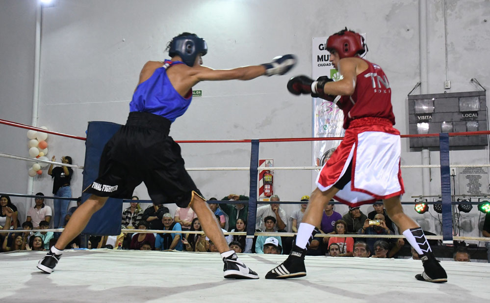 Programa “Referentes Deportivos Barriales: clases no aranceladas de boxeo”