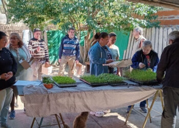 Nuevas jornadas del programa de huertas agroecológicas