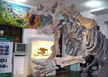 Nueva edición de la “La Noche de las Linternas” en el Museo de Antropología