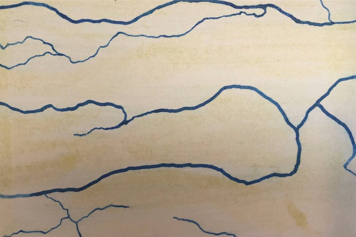 Invitan a la inauguración de una instalación sonora en el Museo Provincial de Bellas Artes