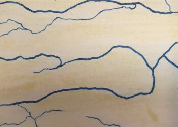 Invitan a la inauguración de una instalación sonora en el Museo Provincial de Bellas Artes