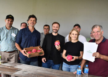 DESDE CONCORDIA SE IMPULSA LA CREACIÓN DE UNA MESA MULTISECTORIAL PARA FORTALECER LA PRODUCCIÓN FRUTIHORTÍCOLA