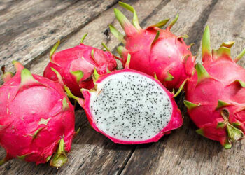 PRIMER ENCUENTRO SOBRE PITAYAS EN CONCORDIA