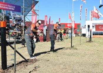 Entre Ríos presentó en Expoagro su laboratorio para detectar una plaga de maíz