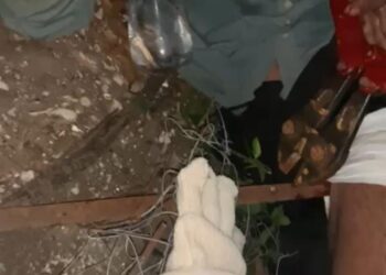 Bomberos Zapadores rescatan a un hombre en barrio La Bianca