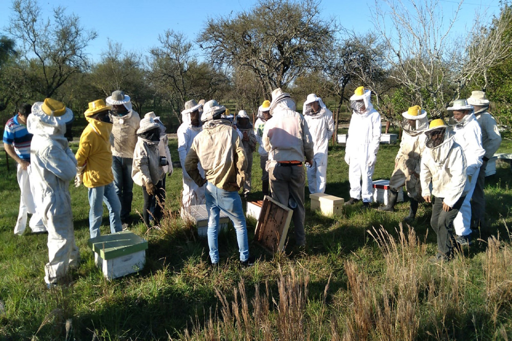 Aprobaron un crédito internacional para fortalecer la cadena apícola entrerriana