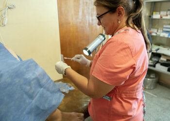 Salud recuerda la importancia de prevenir y detectar a tiempo el Virus del Papiloma Humano (VPH)