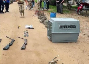 La Policía descubre pesca y caza clandestina en distintos puntos de la provincia