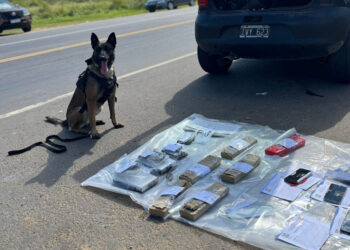La Policía de Entre Ríos secuestró casi ocho kilos de droga en Concordia y detuvo a dos personas