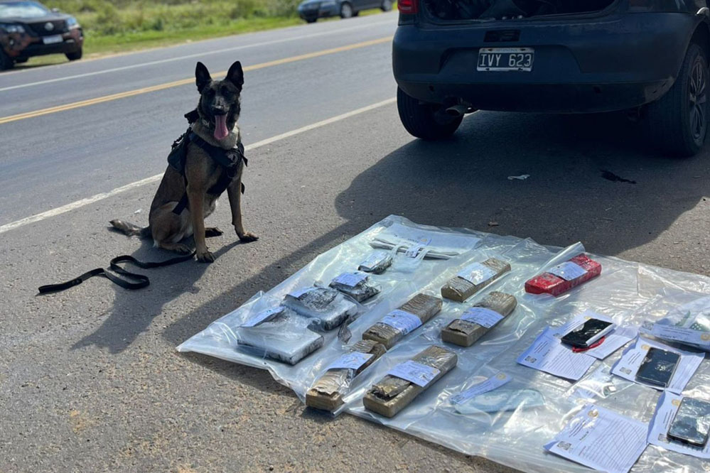 La Policía de Entre Ríos secuestró casi ocho kilos de droga en Concordia y detuvo a dos personas
