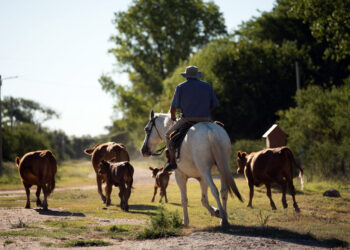 Veintisiete localidades entrerrianas se integran a la plataforma STAR de ONU Turismo