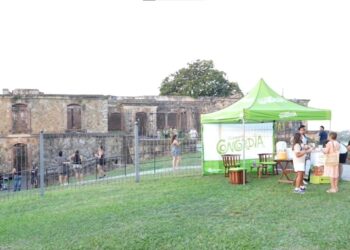 Fin de Semana en Concordia: Viví experiencias únicas