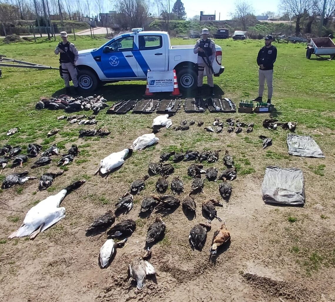 Organizaciones socioambientales exigen al gobierno de entre ríos poder exponer en la audiencia por la caza de aves autóctonas