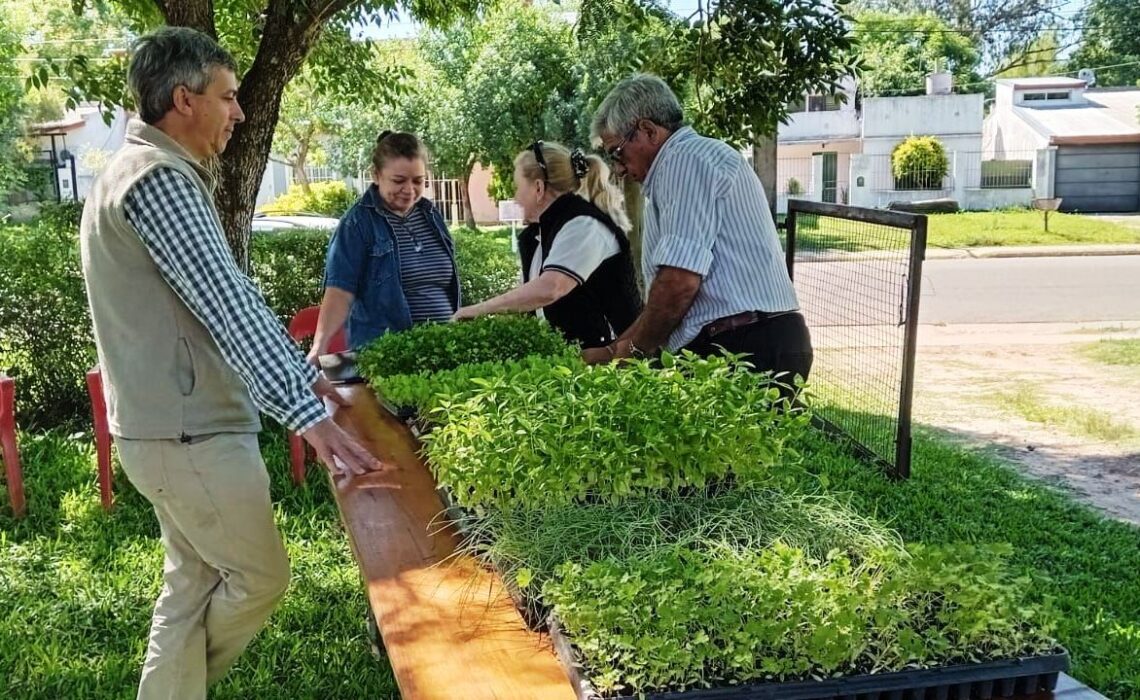 En mayo continúa el programa de huertas agroecológicas familiares