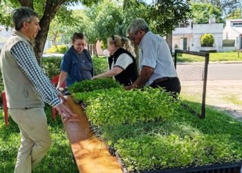 En mayo continúa el programa de huertas agroecológicas familiares
