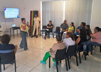 Comenzaron las capacitaciones provinciales sobre abordaje integral del desarrollo infantil