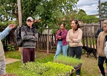 El Programa de Huertas Familiares continúa beneficiando a vecinos de Concordia
