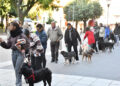 Por el día del animal se llevó a cabo una jornada gratuita de vacunación antirrábica