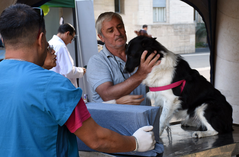 El Programa de esterilizaciones barriales gratuitas atenderá en La Bianca