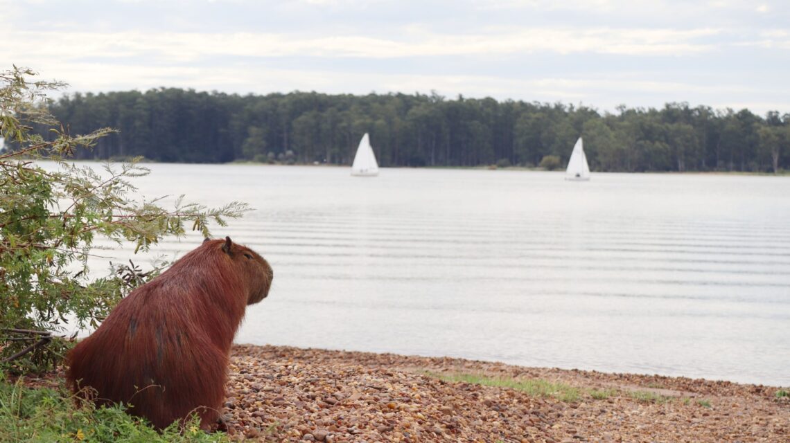 Agenda para el finde en Concordia (17 al 19 de abril)