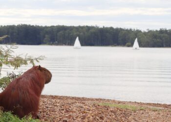 Agenda para el finde en Concordia (17 al 19 de abril)