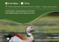 Protección de las aves autóctonas: imperdible charla sobre un tema candente