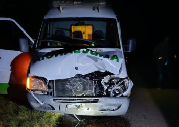 Los Charrúas: la ambulancia impactó contra un vacuno en Ruta 4