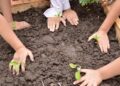 Desarrollo Productivo y la fundación huerta niño impulsan el programa “Huerta Escuela” en los CDI de Concordia