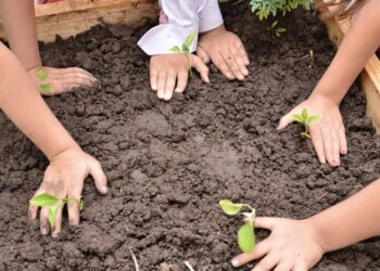 Desarrollo Productivo y la fundación huerta niño impulsan el programa “Huerta Escuela” en los CDI de Concordia