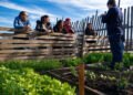 Concordia fortalece las políticas de producción sustentable con el nuevo Programa de Huertas Agroecológicas Integradas