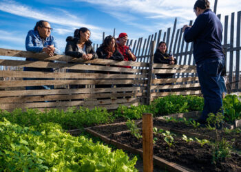 Concordia fortalece las políticas de producción sustentable con el nuevo Programa de Huertas Agroecológicas Integradas