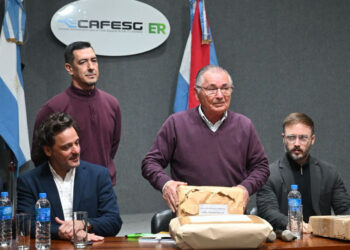 Se abrieron los sobres para dos obras escolares emblemáticas de la región de Salto Grande