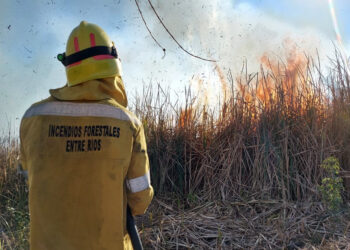 Entre Ríos fortalece su estrategia de prevención y combate de incendios