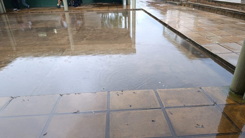 Tensión en La Bianca: alarma en la escuela Gervasio Artigas por paredes electrificadas