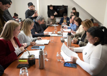 Avances legislativos en Entre Ríos: juicio político, inclusión, ambiente y cultura