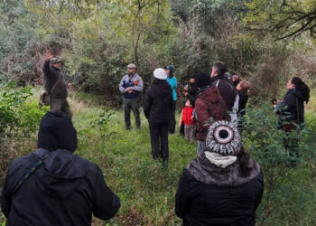 Naturaleza y patrimonio: exitosa jornada de senderismo interpretativo en la zona de Salto Chico