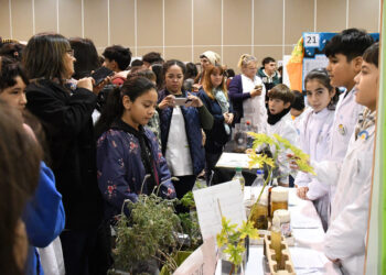 Charlas, delegaciones internacionales y talleres forman parte de la 10° Feria Internacional de Ambiente “Eco Ciencias”