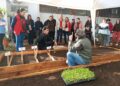 Más familias acceden al programa de huertas agroecológicas integradas