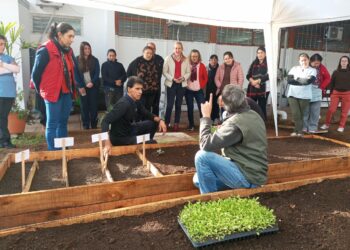 Más familias acceden al programa de huertas agroecológicas integradas