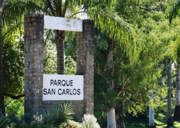 Trabajos de mantenimiento y recuperación ambiental en el Parque San Carlos