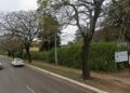 ATENCIÓN CONDUCTORES: Anuncian cortes de tránsito por trabajos de poda en Avenida Eva Perón