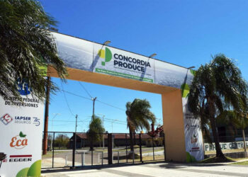 Expo Concordia Produce: un espacio destinado a la visibilización de toda la región