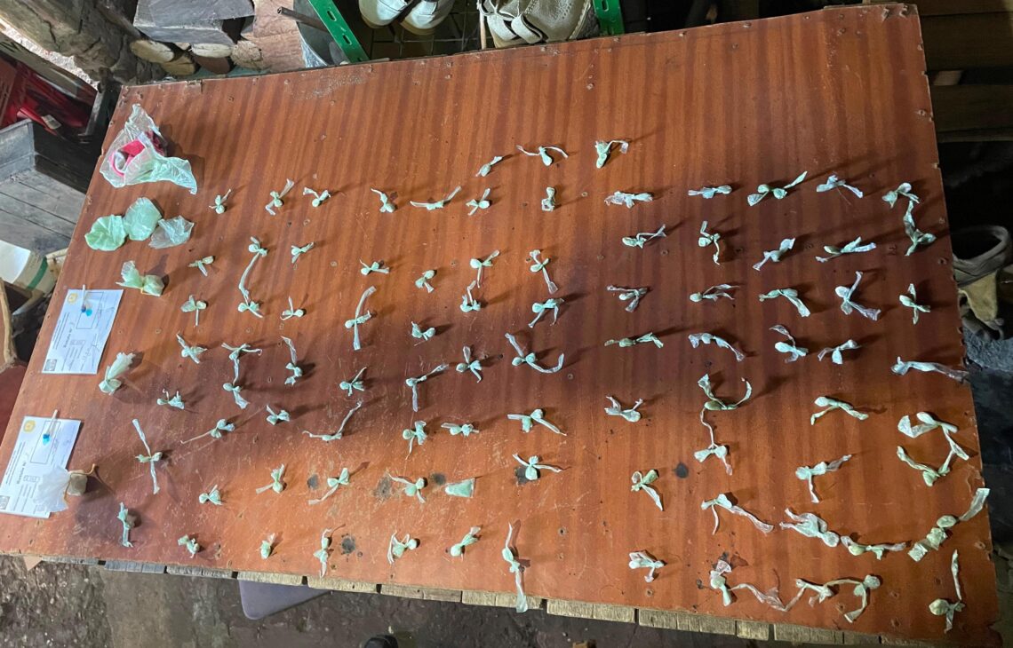 Allanamiento en Barrio Tiro Federal: secuestro de cocaína y dos personas detenidas