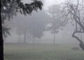 Advierten sobre la presencia de bancos de niebla en toda la provincia este miércoles