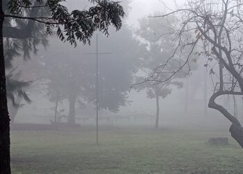 Advierten sobre la presencia de bancos de niebla en toda la provincia este miércoles