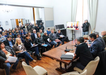 Boleas y Bagnat expusieron en el Senado sobre la reforma previsional